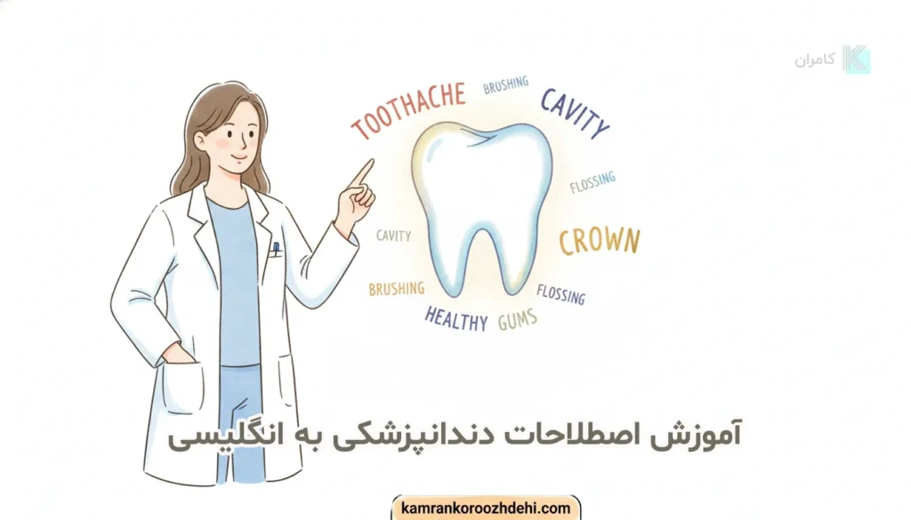 آموزش اصطلاحات دندانپزشکی به انگلیسی با ترجمه و مثال