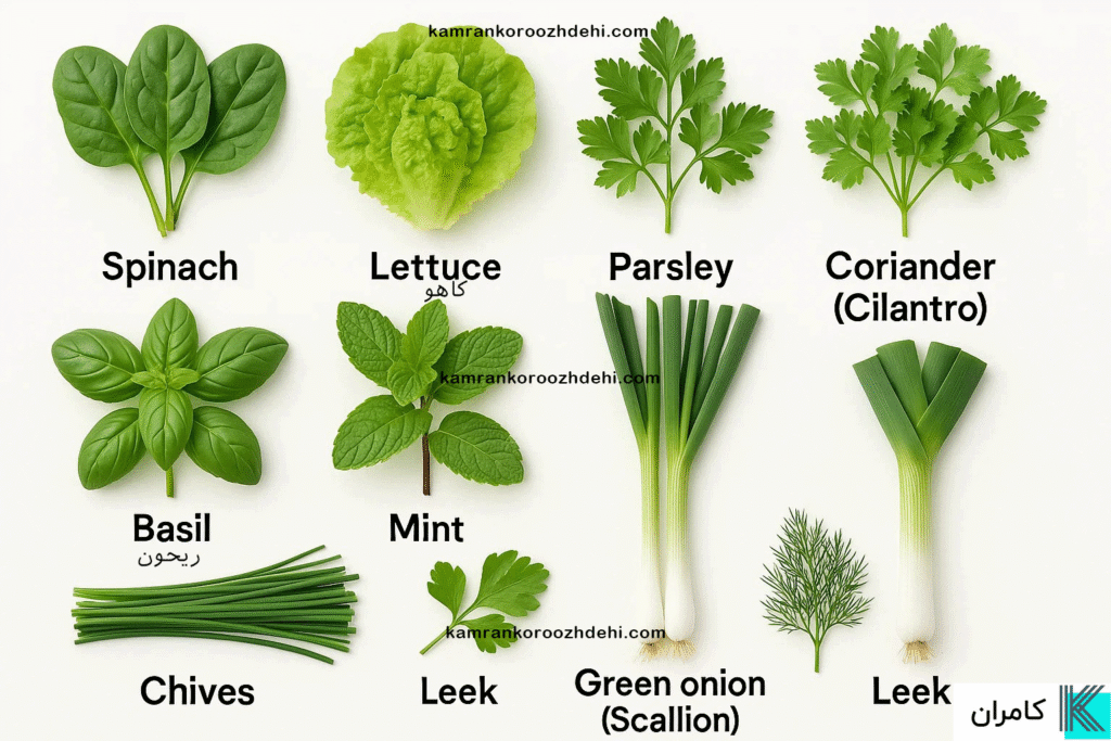 vegetables-in-english