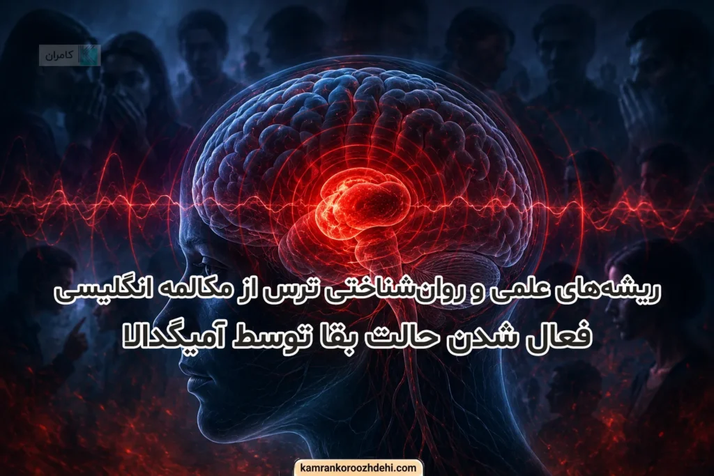 نمودار هیپوکامپ و بخش‌های مرتبط با حافظه و ترس در مغز هنگام صحبت کردن به انگلیسی