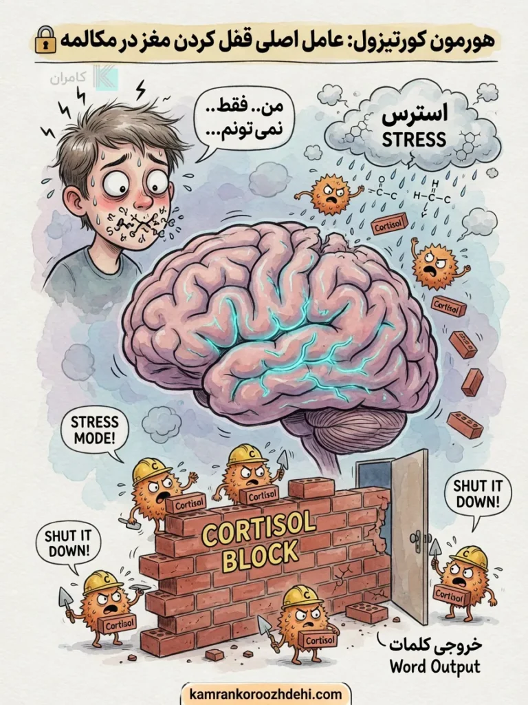 تاثیر هورمون کورتیزول در قفل شدن ذهن هنگام صحبت کردن به انگلیسی